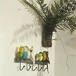 Apartament Cosy Haven - Your Away From Strovolos